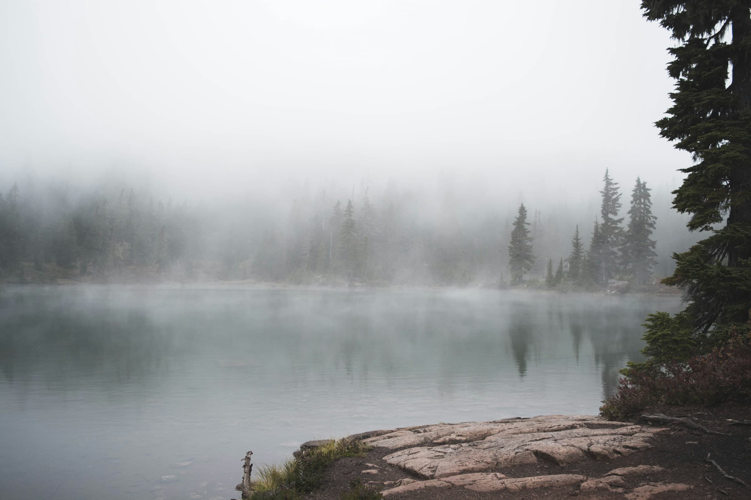 Morning mist over a still forest lake